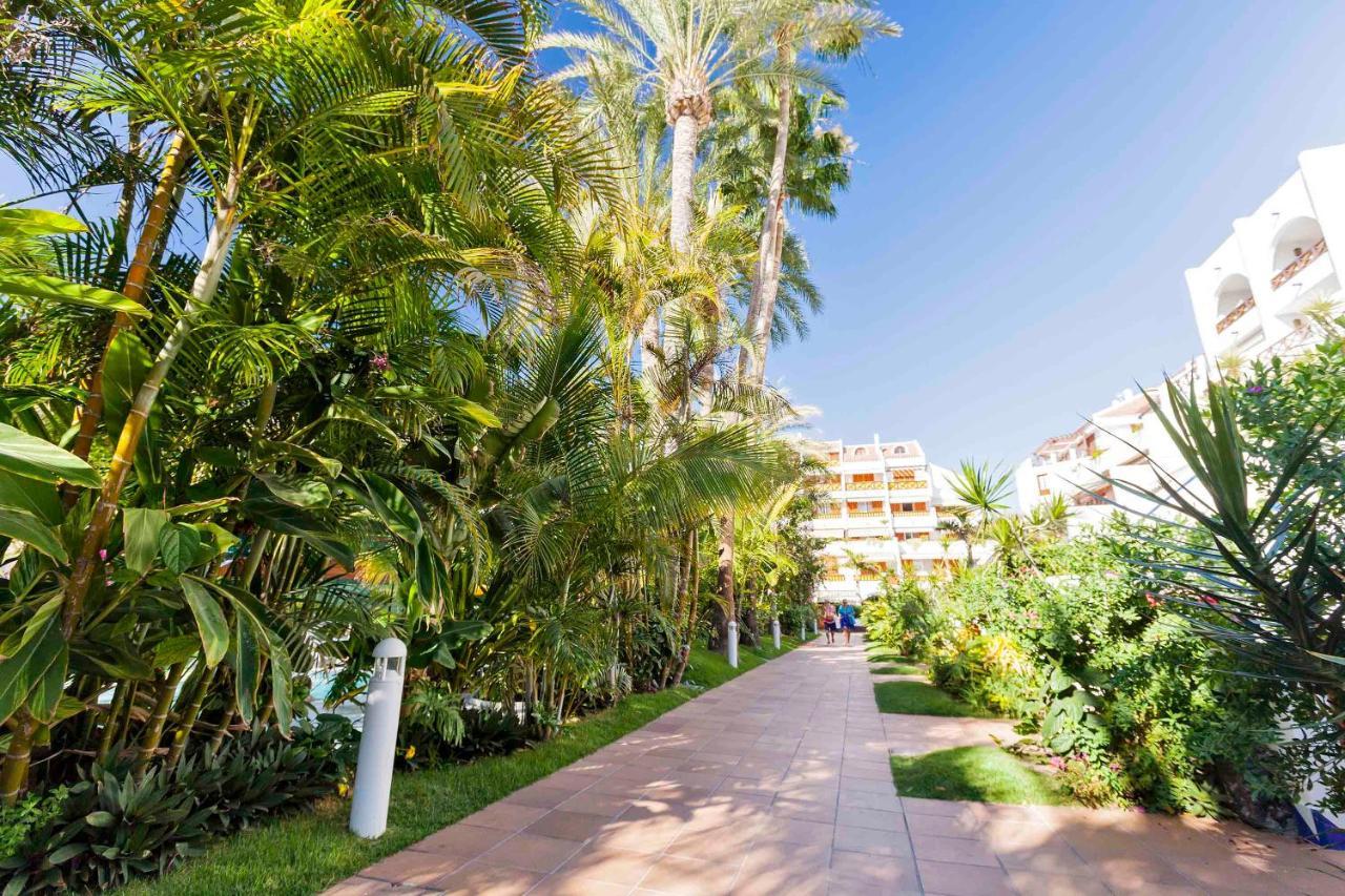 Apartamento Sara En Playa De Las Americas - Sara Vacation Арона Экстерьер фото